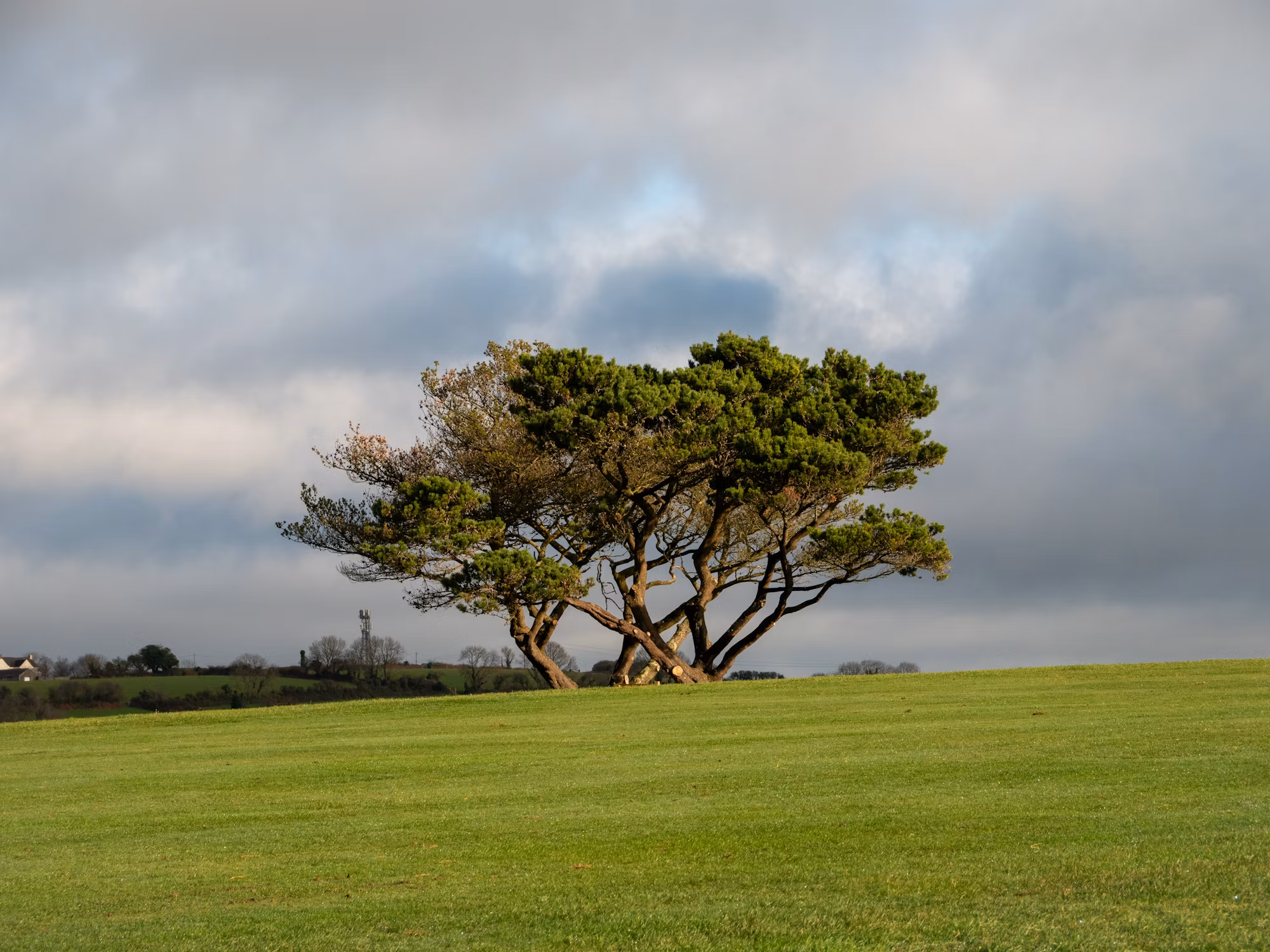 Cultural Immersion: The Heart of Meaningful Travel